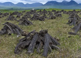 EU Sues Ireland Over Failure to Enforce Peat-Cutting Rules EU taking Ireland to court over peat-cutting enforcement