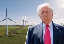 Is Donald Trump succeeding in his battle against wind energy? Is Donald Trump winning his war on wind?