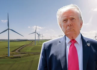 Is Donald Trump succeeding in his battle against wind energy? Is Donald Trump winning his war on wind?