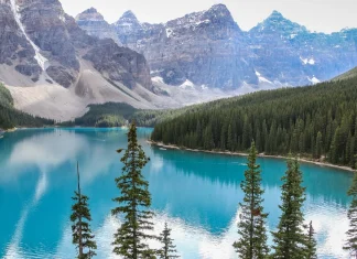 Lawsuit Targets Canadian Government Over Alleged Climate Inaction Canada government sued over climate inaction