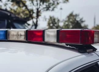 Manhunt underway after shooting near US festival leaves 12 injured Manhunt after 12 wounded in shooting near US festival