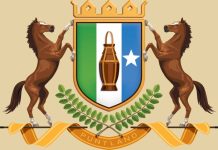 Maamulka Puntland oo diiday ciidamada Dowlada Federalka inay ka howlgalaan Puntland