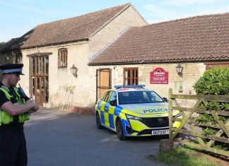 UK authorities detain man after boy lands inside crocodile enclosure Man held as boy 'ends up in crocodile enclosure' in UK