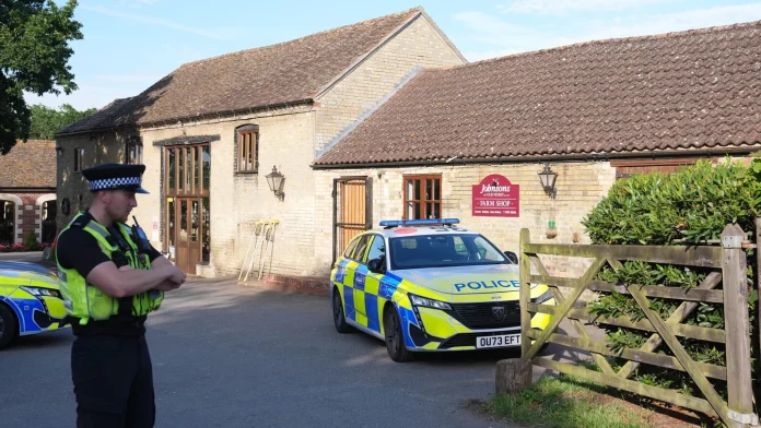 Man held as boy 'ends up in crocodile enclosure' in UK
