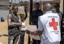 WHO Reports Suspected Ebola Cases Falling as Hundreds Are Cleared WHO says suspected Ebola cases drop as hundreds ruled out