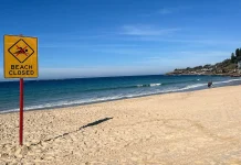 Woman critically hurt in shark attack at Sydney beach Woman seriously injured in shark attack at Sydney beach