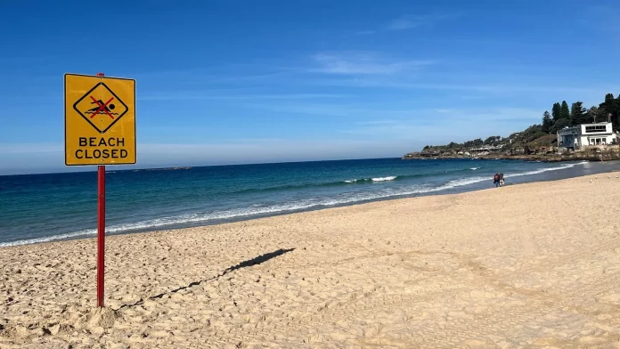 Woman seriously injured in shark attack at Sydney beach