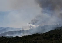 Raging wildfires scorch European forests as soaring heat grips the continent Infernos devastate forests as Europe's temperatures rise