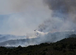 Raging wildfires scorch European forests as soaring heat grips the continent Infernos devastate forests as Europe's temperatures rise