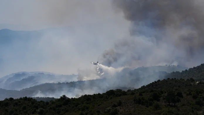 Raging wildfires scorch European forests as soaring heat grips the Infernos devastate forests as Europe's temperatures rise