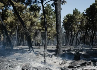 Wildfire burns 12,000 hectares in northern Madrid region Wildfire scorches 12,000 hectares north of Madrid