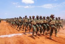 Madaxweyne Xasan Sheekh oo tababar u soo xirey ciidamo ka tirsan Xoogga Dalka
