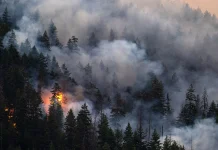 80-Year-Old Woman Dies in Western Canada as Wildfires Continue Spreading Woman, 80, dies in western Canada as wildfires spread