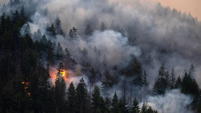 80-Year-Old Woman Dies in Western Canada as Wildfires Continue Spreading Woman, 80, dies in western Canada as wildfires spread