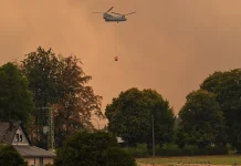 Belgium Wildfire Stops Just Short of the German Border Belgium wildfire halts short of German border