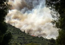 Firefighters battle multiple wildfires across several regions of Greece Firefighters tackle wildfires in several areas in Greece