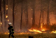 French Wildfires Set Unwanted Records as Fires Reach Historic Levels French wildfires: Record-breaking for the wrong reasons