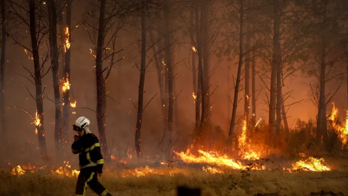 French Wildfires Set Unwanted Records as Fires Reach Historic Levels French wildfires: Record-breaking for the wrong reasons