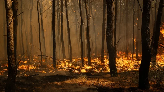 Greek mayor among three accused in charges over wildfire near Greek mayor among three charged over wildfire near Athens