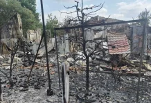 Inside France’s Worst Wildfire-Hit Town: Damage, Recovery, and Local Resilience Inside the French town hit hardest by wildfires