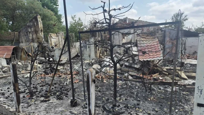 Inside France’s Worst Wildfire-Hit Town: Damage, Recovery, and Local Resilience Inside the French town hit hardest by wildfires