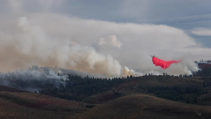 Over 40,000 Evacuated as Wildfire Threatens Reno, Nevada More than 40,000 evacuate as wildfire nears Reno in US