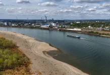 Shippers warn low water could effectively split the Rhine in two Shippers warn Rhine could be 'split in two' by low water