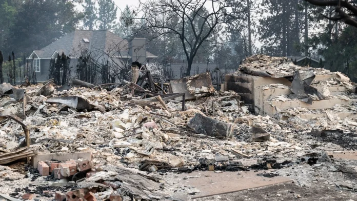 Thousands Evacuate as Wildfires Threaten Spokane, Washington Thousands flee wildfires in US city of Spokane