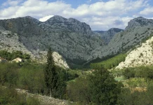 Two Killed After Small Plane Crashes in Croatia Two dead in Croatia small plane crash