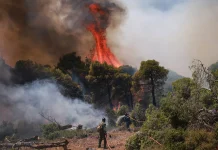 Two helicopters crash in Greece amid rapidly spreading wildfires Two helicopters collide in Greece as wildfires spread
