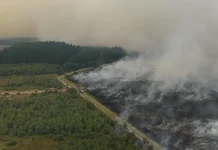 Two killed as wildfires near Athens force hundreds to evacuate Two dead, hundreds evacuated from fires near Athens