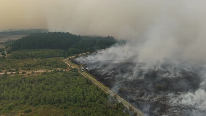 Two killed as wildfires near Athens force hundreds to evacuate Two dead, hundreds evacuated from fires near Athens