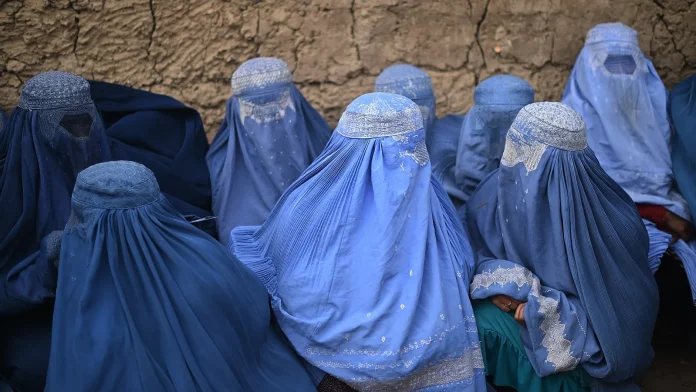 UN reports nearly half of Afghan women seldom leave their Half of Afghan women rarely leave home, says UN agency