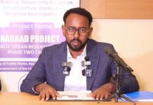 Dowlada Soomaaliya oo sheegtay in mashaariic horumarned ka hirgelinayso magaalada Hargeysa