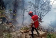 Faahfaahin ka soo baxaysa shil ka dhacay dalka Kenya