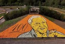 David Attenborough pumpkin mosaic shatters world record with stunning display Pumpkin mosaic of David Attenborough breaks world record