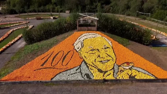 David Attenborough pumpkin mosaic shatters world record with stunning display Pumpkin mosaic of David Attenborough breaks world record