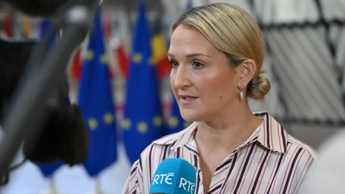Use of Russian assets should be 'kept on table' - McEntee