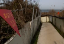North Korea Rejects South Korea’s Allegation of Responsibility for DMZ Explosions North Korea denies South's claim it was behind DMZ blasts