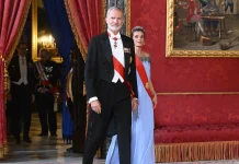 Spanish King: Ceuta Crisis Is a Shared Responsibility Across the EU Ceuta crisis 'responsibility of all EU' - Spanish king