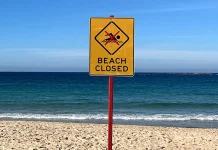 Sydney teacher survives shark attack after landing a powerful left hook Sydney teacher hit shark with 'left hook' during attack