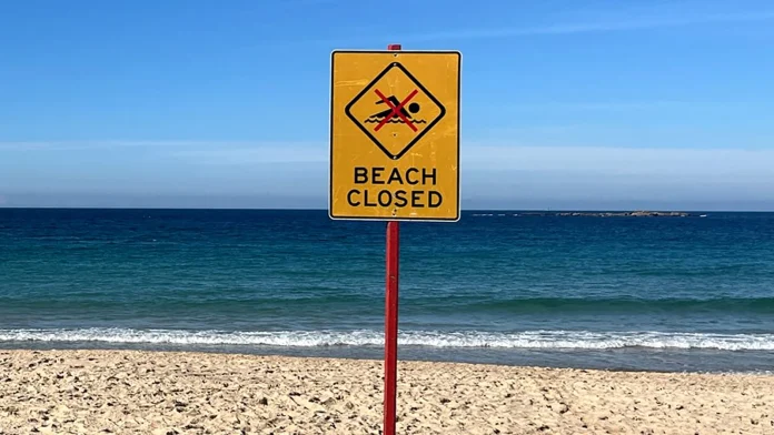 Sydney teacher survives shark attack after landing a powerful left Sydney teacher hit shark with 'left hook' during attack
