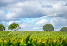 UN Reports Global Food Prices Hit Highest Level Since 2022 World food prices at highest point since 2022 - UN