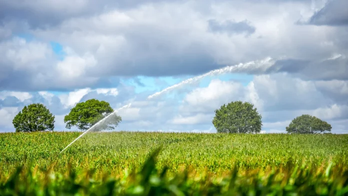 UN Reports Global Food Prices Hit Highest Level Since 2022 World food prices at highest point since 2022 - UN