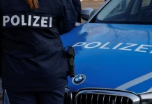 8-Year-Old Girl Mauled by Wolf at German Wildlife Park Girl, 8, attacked by wolf in German wildlife park