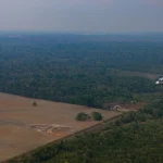 Brazil Amazon Deforestation Drops to Record Low, Lowest Level Ever Deforestation in Brazil's Amazon falls to all-time low