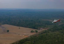 Brazil Amazon Deforestation Drops to Record Low, Lowest Level Ever Deforestation in Brazil's Amazon falls to all-time low