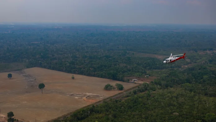 Brazil Amazon Deforestation Drops to Record Low, Lowest Level Ever Deforestation in Brazil's Amazon falls to all-time low