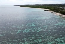 El Niño Shatters Temperature Records Across a Crucial Pacific Region El Niño breaks temperature record in key area of Pacific