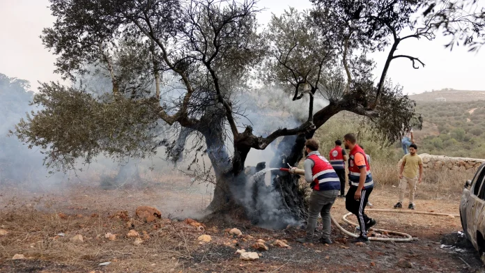 Israeli settlers burn olive trees in West Bank attack